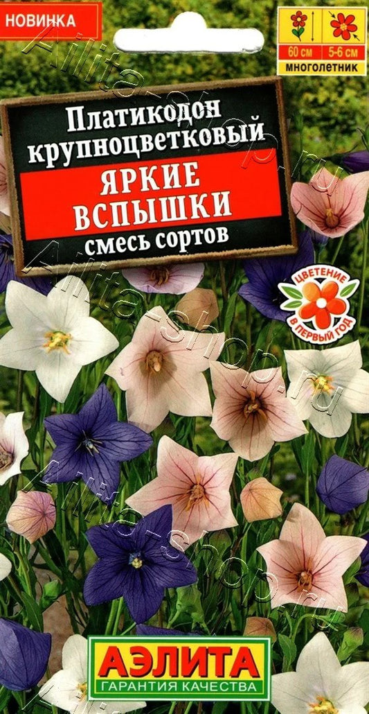 Платикодон Яркие вспышки смесь сортов