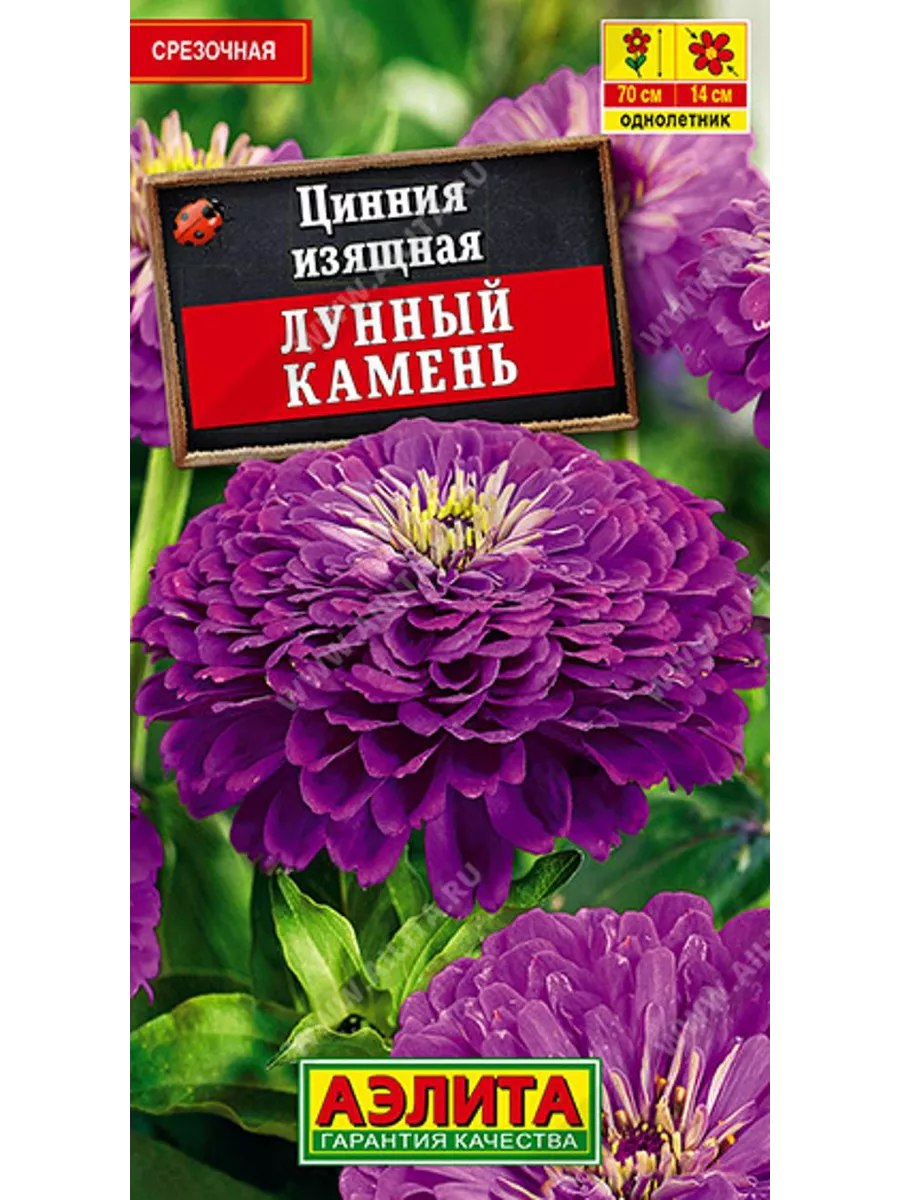 Цинния Лунный камень