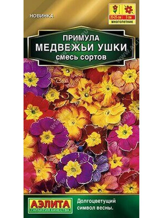 Примула медвежьи ушки